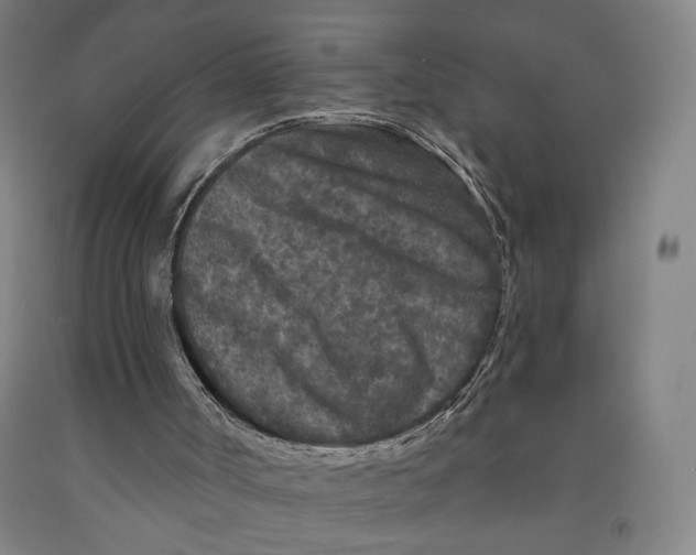 X0000091950002200709271335