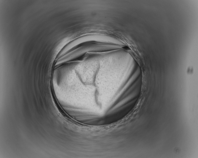 X0000091950003200709271335