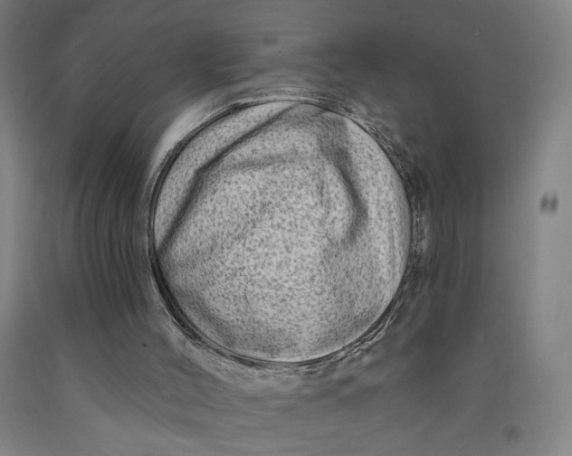 X0000091950004200709271335