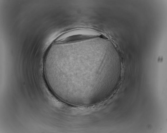 X0000091950005200709271335