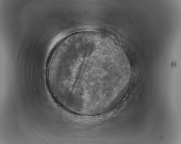 X0000091950006200709271335