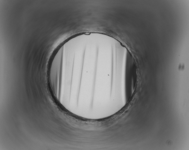 X0000091950008200709271335