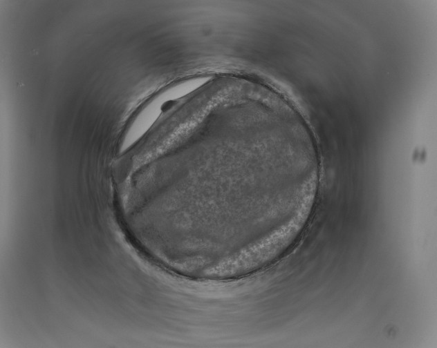 X0000091950010200709271335