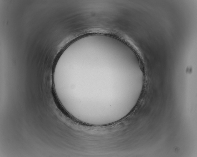 X0000091950011200709271335