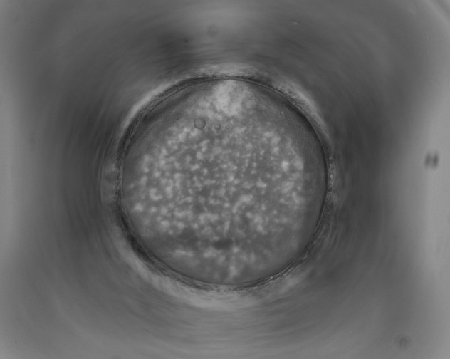 X0000091950012200709271335