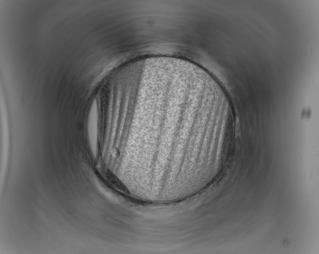 X0000091950013200709271335