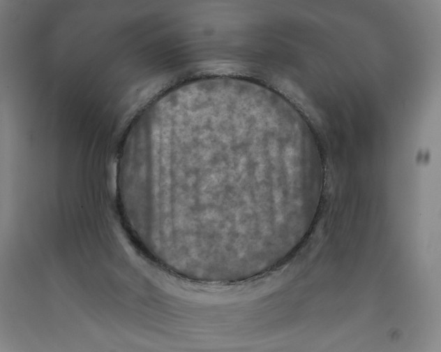 X0000091950014200709271335