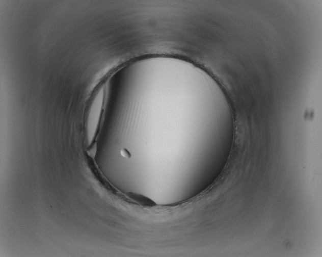 X0000091950015200709271335