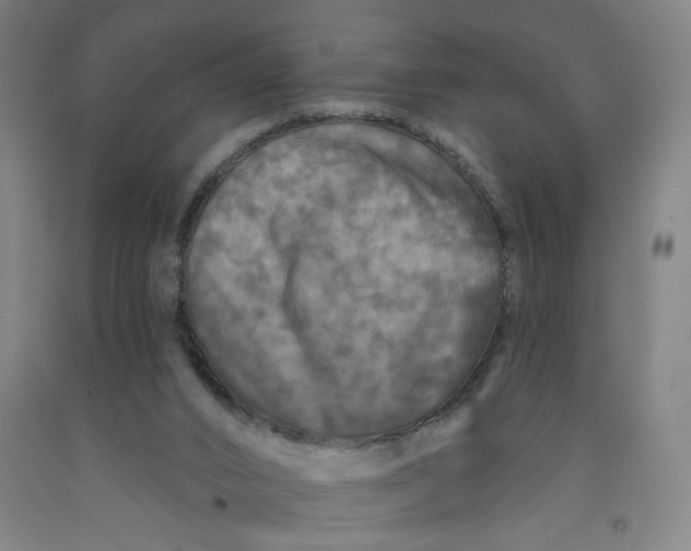 X0000091950016200709271335