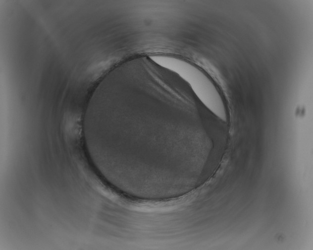 X0000091950017200709271335