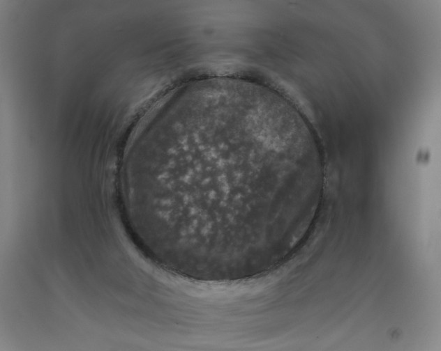 X0000091950018200709271335