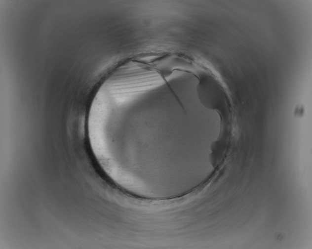 X0000091950019200709271335