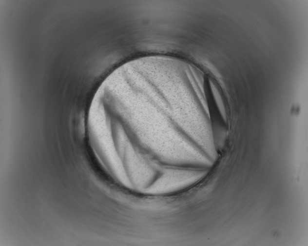 X0000091950020200709271335