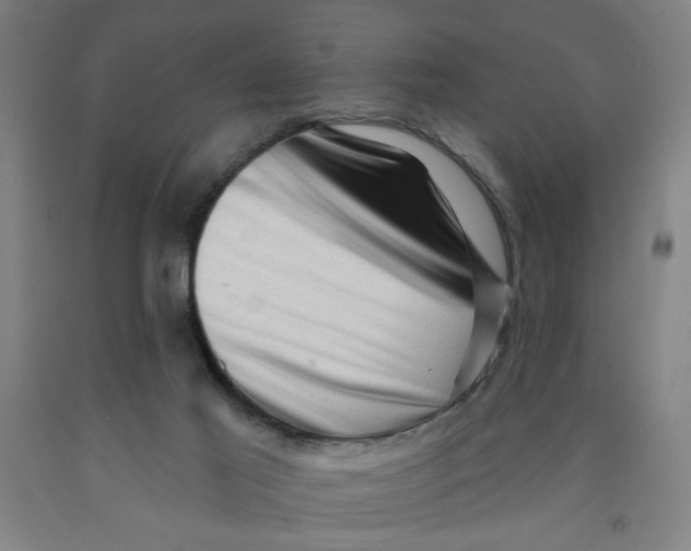 X0000091950021200709271335