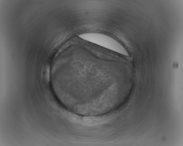 X0000091950022200709271335