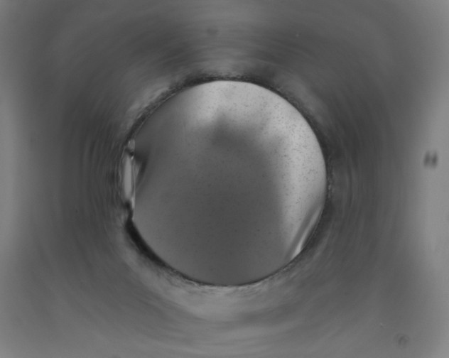 X0000091950023200709271335