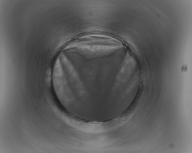 X0000091950024200709271335