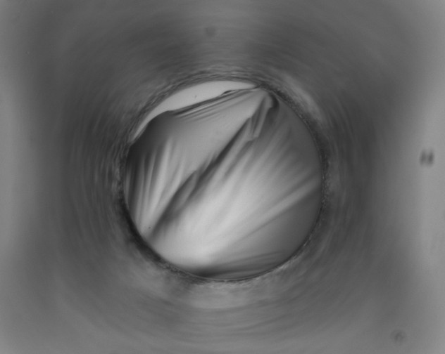 X0000091950025200709271335