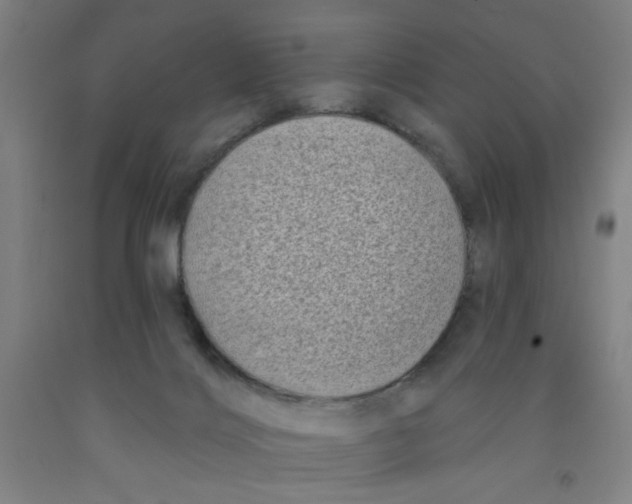 X0000091950028200709271335