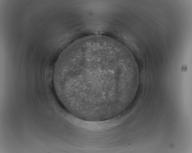 X0000091950030200709271335