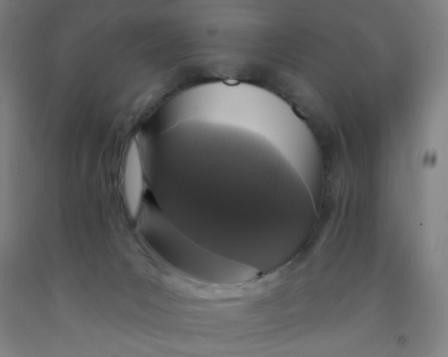 X0000091950031200709271335