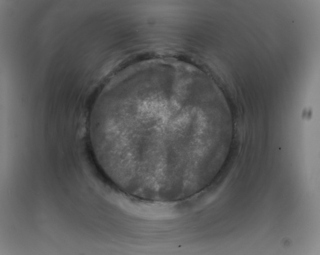 X0000091950032200709271335