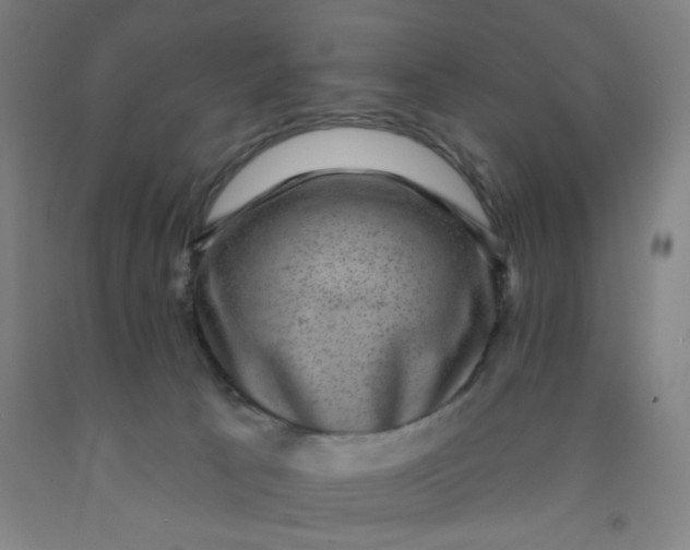 X0000091950033200709271335