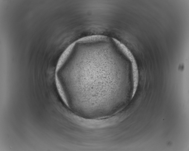 X0000091950034200709271335