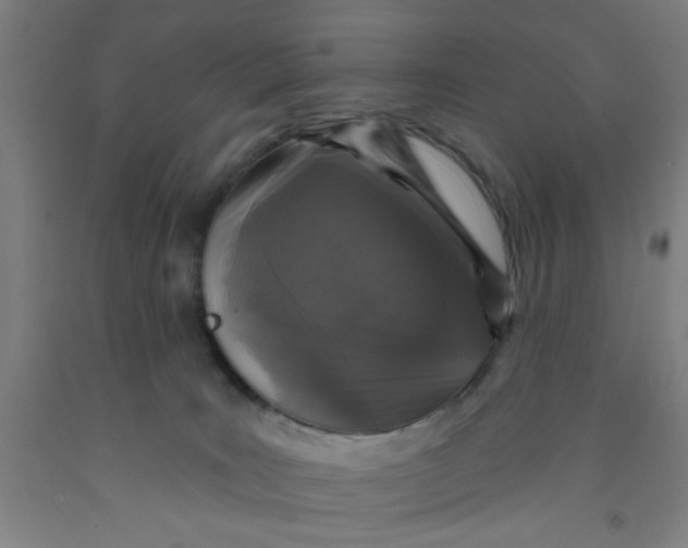 X0000091950035200709271335