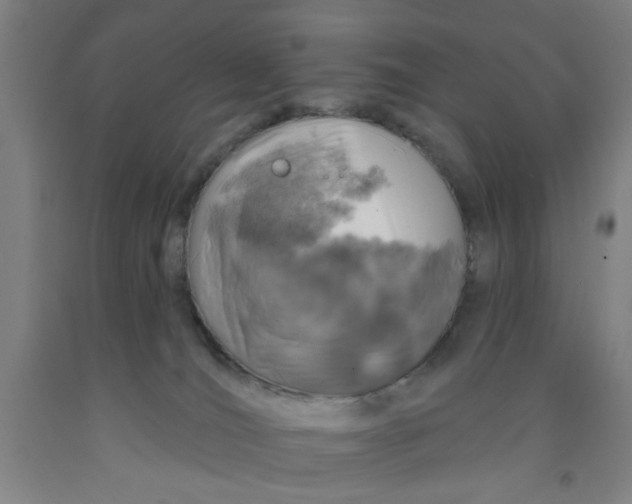 X0000091950036200709271335