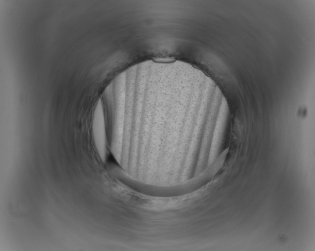 X0000091950037200709271335