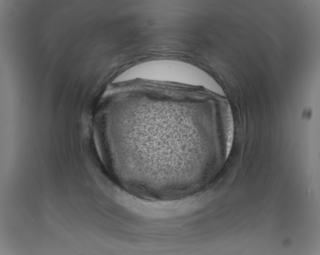 X0000091950038200709271335