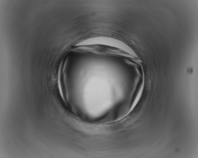 X0000091950040200709271335