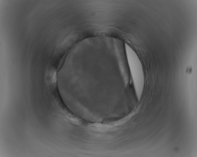 X0000091950041200709271335