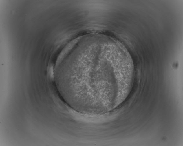 X0000091950042200709271334