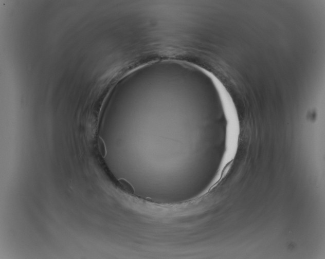 X0000091950043200709271334