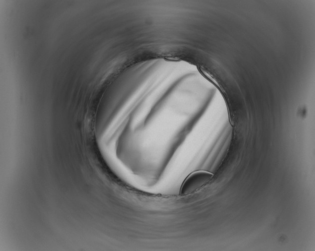 X0000091950044200709271334