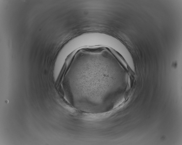 X0000091950045200709271334