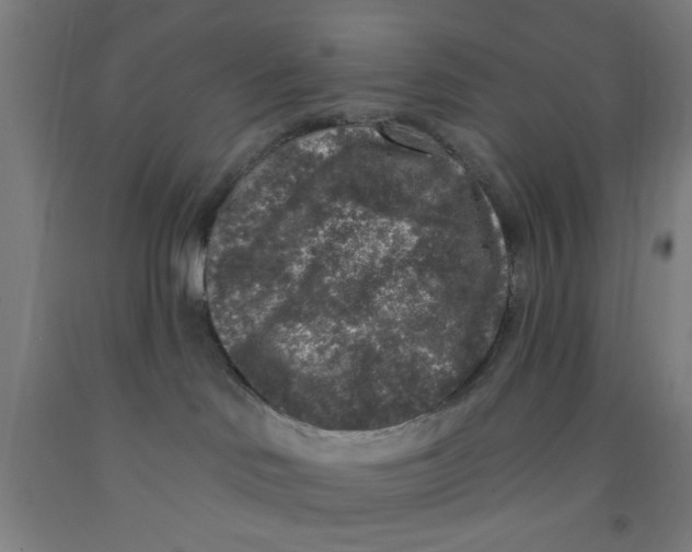 X0000091950046200709271334