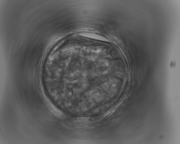 X0000091950049200709271334