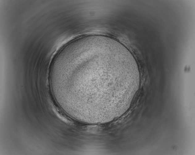 X0000091950050200709271334