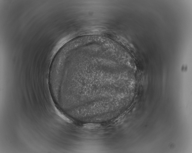 X0000091950051200709271334