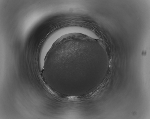 X0000091950052200709271334