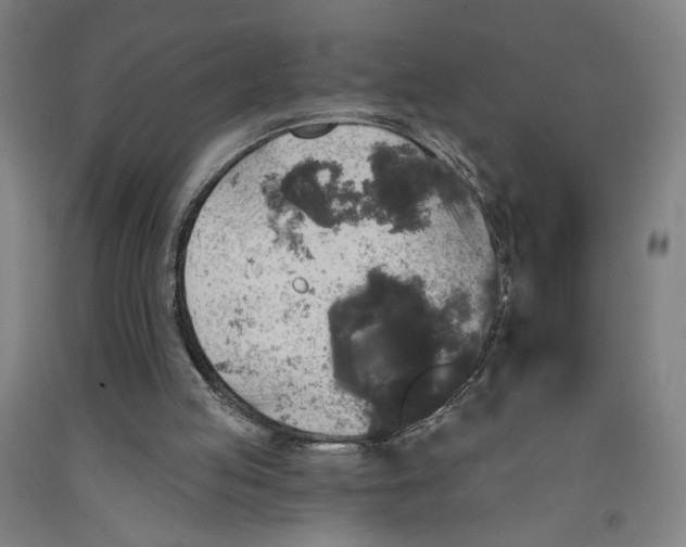 X0000091950053200709271334