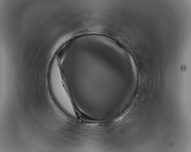 X0000091950054200709271334