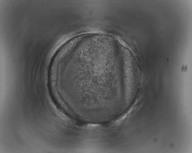 X0000091950055200709271334