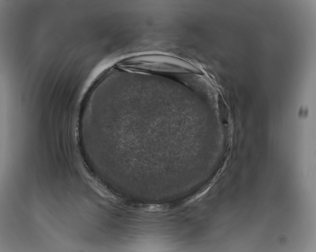 X0000091950056200709271334