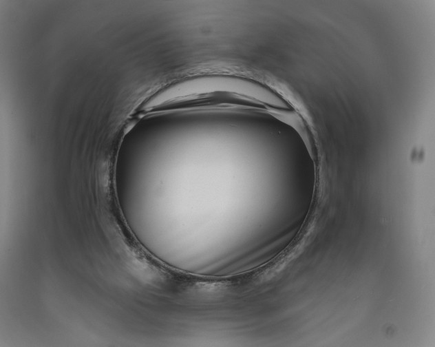 X0000091950057200709271334