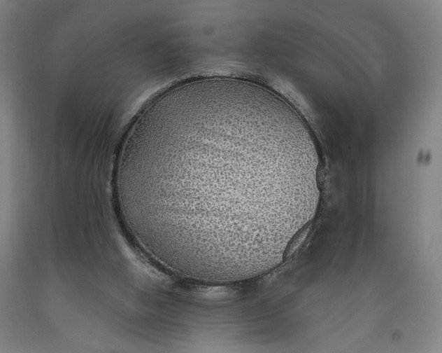 X0000091950058200709271334