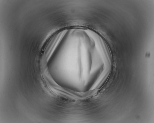 X0000091950060200709271334